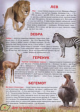 Книга «Ілюстрований атлас живої природи». Автор - Світлана Мирошниченко, фото 4