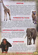 Книга «Ілюстрований атлас живої природи». Автор - Світлана Мирошниченко, фото 5