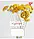 Зошит шкільний (А5, 24 аркуші, в клітинку) Yes Believe in yourself 767011, фото 7
