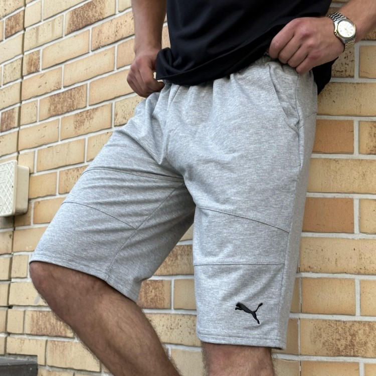 Спортивні шорти Puma чоловічі, Пума сірі