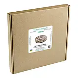 Органайзер для бісеру з прозорою кришкою FLZB-096, фото 3