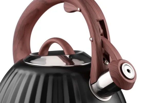 Чайник Ardesto Gemini 2.5л Black (AR1958KS), фото 1