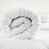Ковдра "ALASKA" 200*220 см (450 г/м2) (microfiber), фото 3