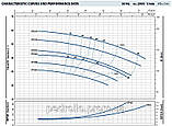 Відцентровий насос Pedrollo CP-160А промгрупа (14,4 м3/год 43 м), фото 2