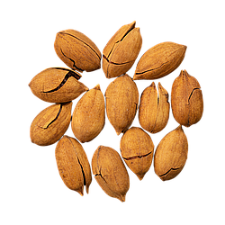 Пекан в шкаралупі,200г