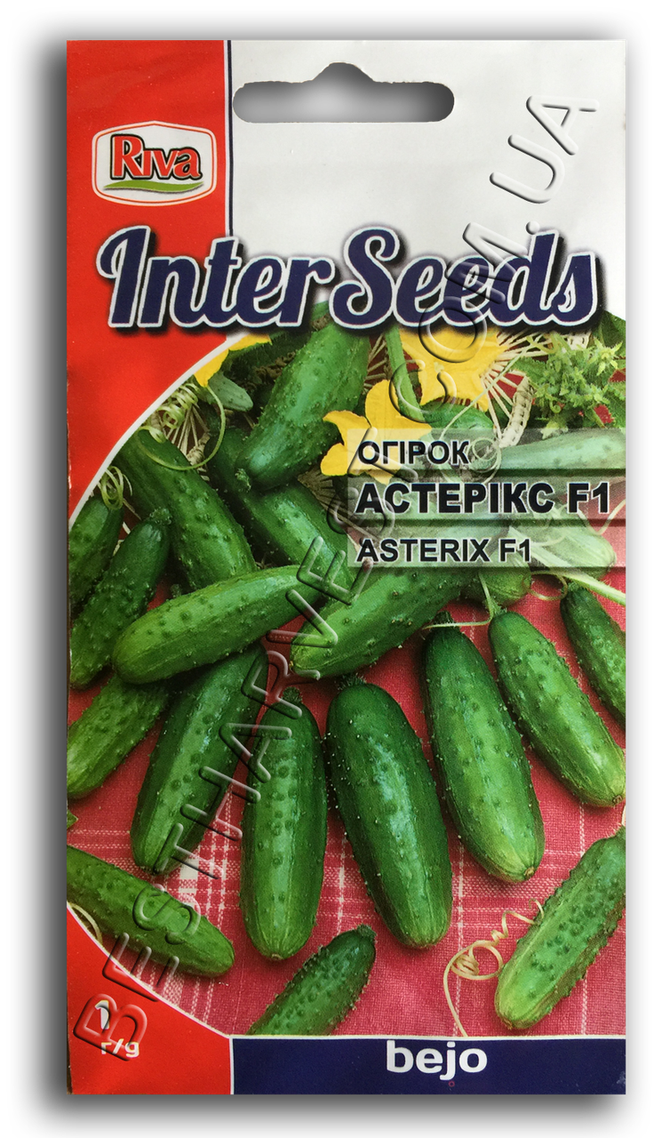 Насіння огірка Астерікс F1 1 г