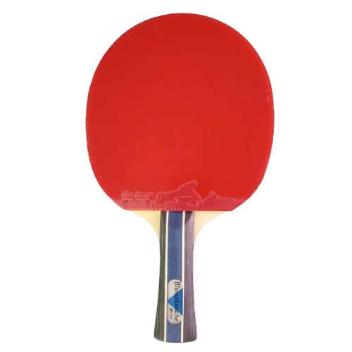 Ракетка Blutenkirsche Reactor 868 ALL++, фото 1