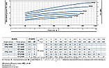 Відцентровий насос Pedrollo CPm-210C промгрупа, фото 3