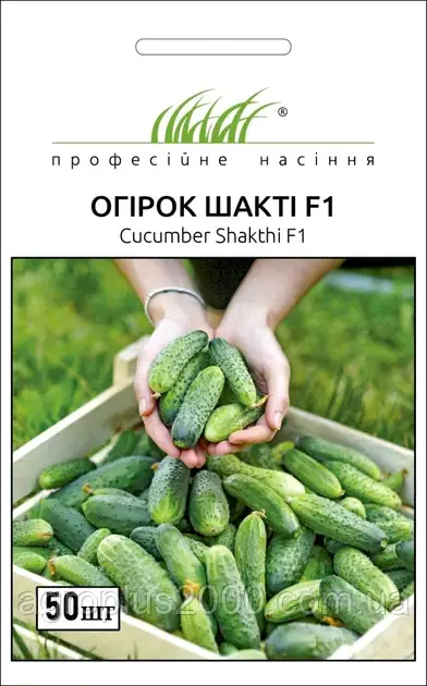 Насіння Огірок партенокарпічний Шакті F1, 50 насінин