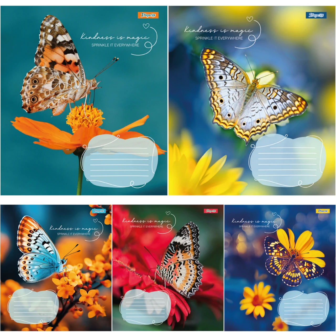 Зошит шкільний (А5, 24 аркуші, в лінію) 1Вересня Butterfly 767298