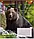 Зошит шкільний (А5, 24 аркуші, в лінію) 1Вересня Animals of Ukraine 767296, фото 4