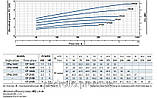Відцентровий насос Pedrollo CP-210A (16,8 м3/год 60 м), фото 3