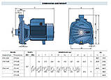 Відцентровий насос Pedrollo CP-210A (16,8 м3/год 60 м), фото 5