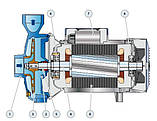 Відцентровий насос Pedrollo CPm-220С (27 м3/год 32 м), фото 5