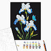 Картина за номерами 40х50 см. Іриси на чорному тлі © Anna Steshenko. Brushme, фото 2