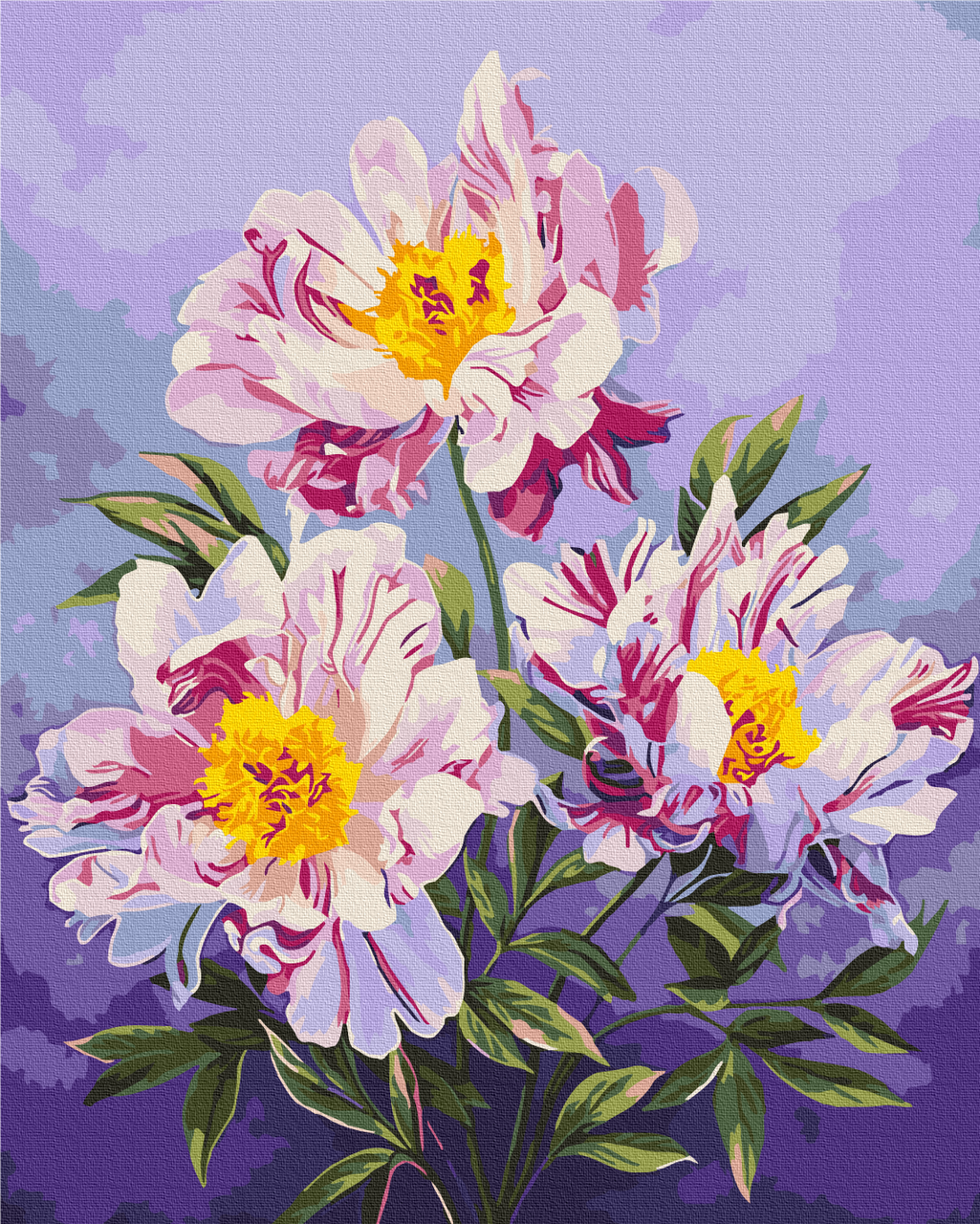 Картина за номерами 40х50 см. Королівство півоній © Anna Steshenko. Brushme