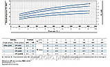 Промисловий насос Pedrollo CP-220А (27 м3/год 49 м), фото 3