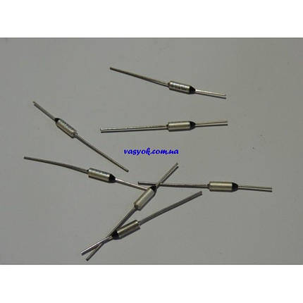 Термозапобіжник 113 градусів для сушіння фруктів та овочей Hilton, фото 1