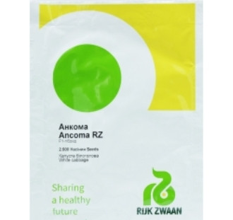 Насіння капусти Анкома F1 каліброване (Rijk Zwaan), 2500 сем — пізні (130 дн), для зберігання, білочана 