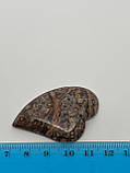 Леопардова яшма кулон із каменю яшма кулон із натуральної яшми Індія!, фото 4