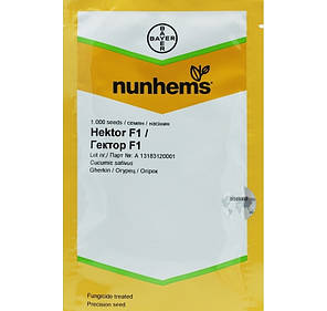 Гектор F1 насіння огірка, 1000 насіння — бджолине, (40-44 дні) Nunhems, фото 2