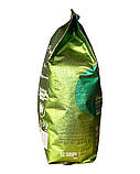 Кава в зернах Lavazza Tierra Brasile Intense, 1 кг (70/30) (8000070052802), фото 4