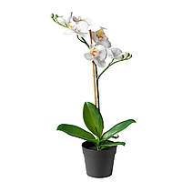 Искусственное растение в горшке IKEA FEJKA Орхидея белая 002.859.08