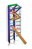 Спортивний комплекс для дому «Карусель 3-240», фото 3
