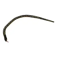 Декоративна дерев'яна змія чорна 50 см 2323C, фото 2