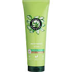 Promo Ціна! Кондиціонер для волосся Herbal Essences Зволоження Алое 250 мл (8700216210683) - тільки на ZaGrosh.com.ua
