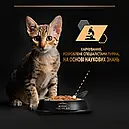 Purina Pro Plan Junior Nutrisavour 85 г шматочки індички в соусі вологий корм для кошенят, фото 7