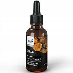 Нано екстракт чаги 7:1 50 мл Sati Labs