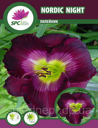 Лійник Nordic Nigh