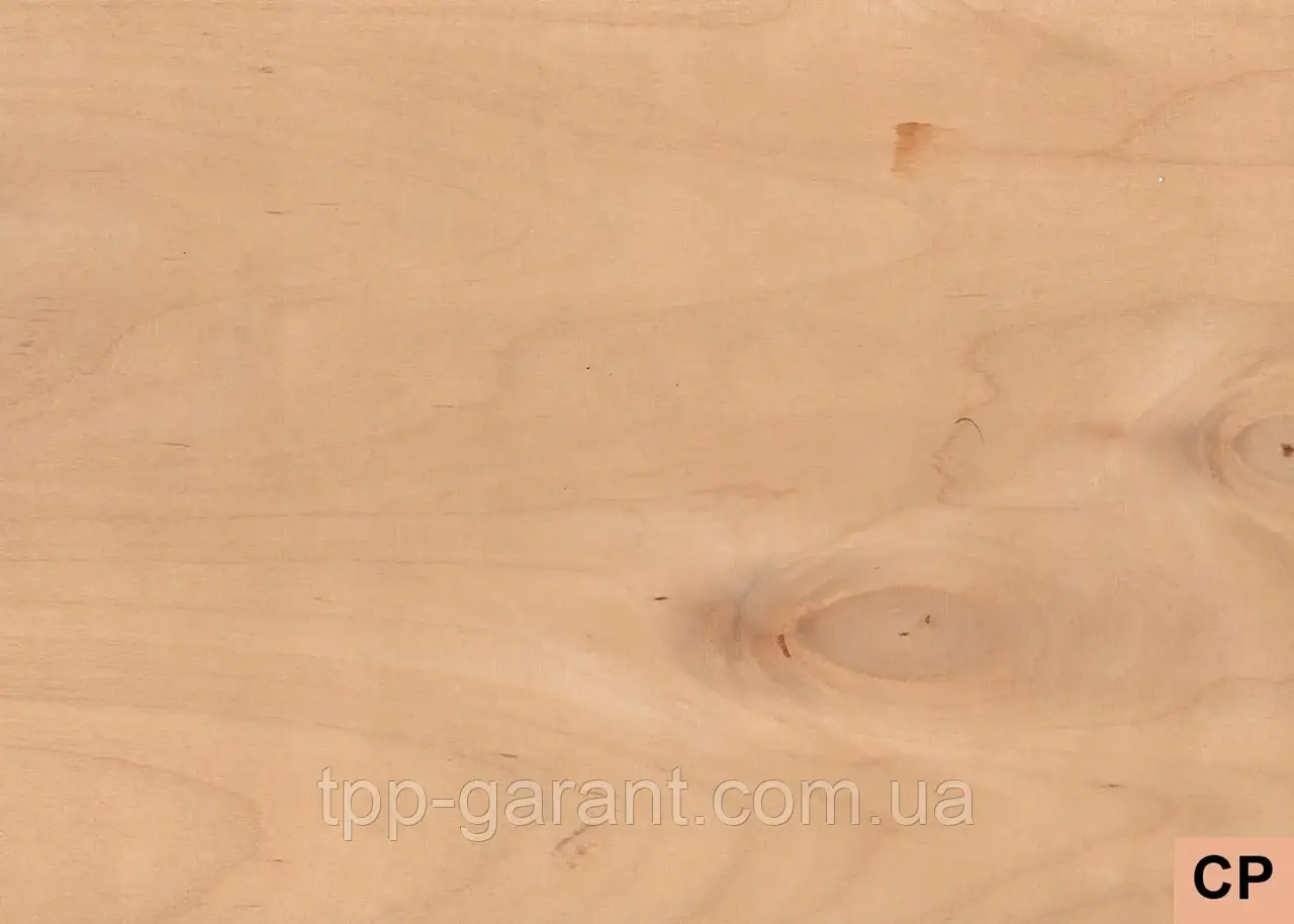 Фанера ФК 1525x1525 мм від 4 мм 3/4 (CP/C), фото 1