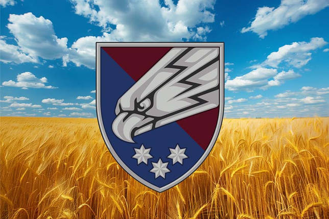 Прапор 25 ОПДБр Січеславської ДШВ ЗСУ пшеничне поле, фото 1