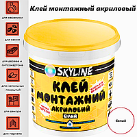 Клей універсальний акриловий вологостійкий SkyLine для всіх видів монтажних робіт 0.5 кг