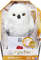 Інтерактивна сова Чарівний світ Гаррі Поттера Сова Букля Enchanting Hedwig Interactive Owl Wizarding World