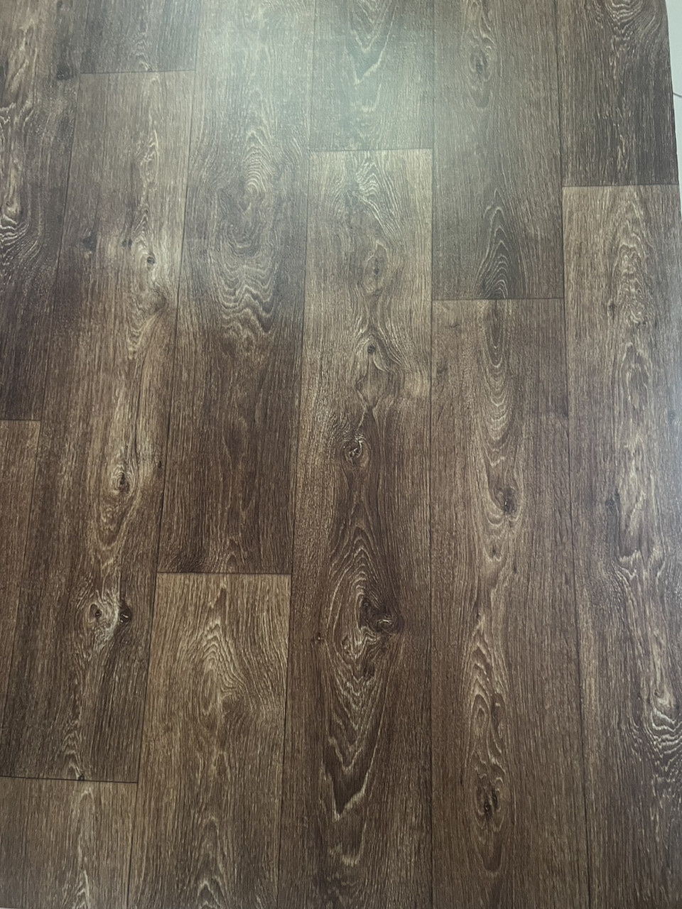 Лінолеум побутовий - Linoplast (ID#2299500968), цена: 180 ₴, купить на ...