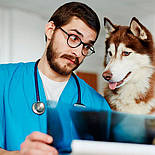 Футболка для лікарів, медсестер, лаборантів. Розміри S-5XL, 100% бавовна. Корпоративний медичний одяг, фото 2