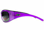 Окуляри поляризаційні BluWater Biscayene Purple Polarized (gray) чорні, фото 4