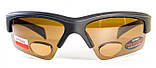 Окуляри біфокальні поляризаційні BluWater Bifocal-2 (+1.5) Polarized (brown) (коричнева біфокальна лінза з діоптріями), фото 3