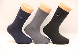 Дитячі шкарпетки махрові для підлітків Стиль люкс 18-20 1860 значки