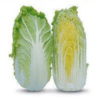 Капуста пекінська