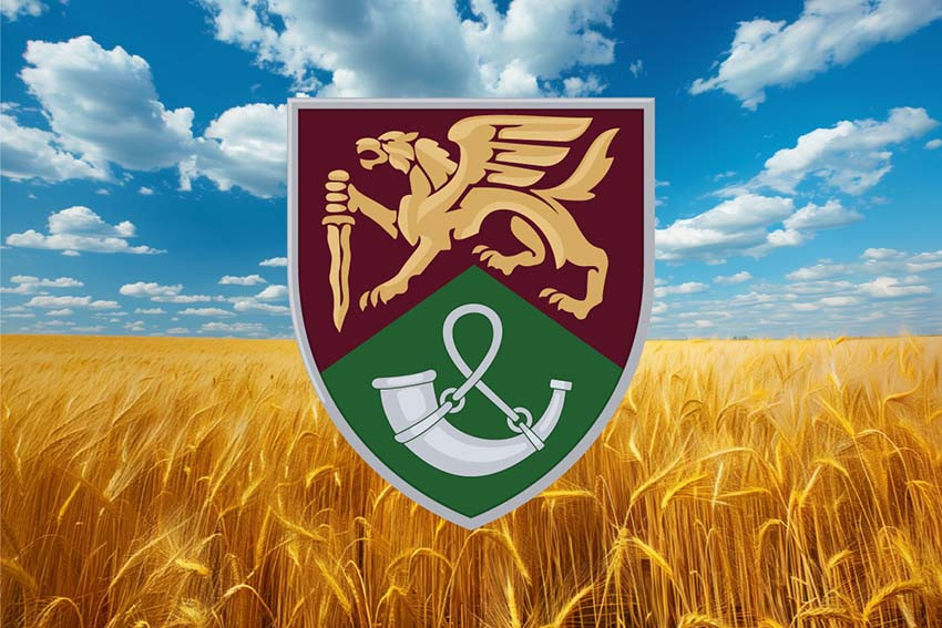 Прапор 71 ОЄБр ДШВ ЗСУ New пшеничне поле