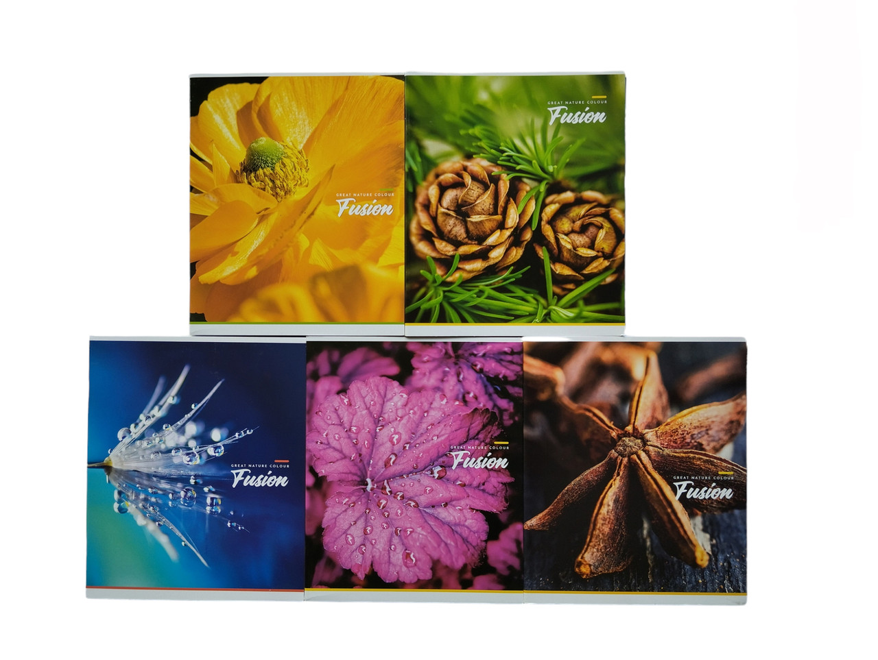 Набір шкільних зошитів 60 аркушів, лінія, Школярик Nature Colour (5 штук) 2620L, фото 1