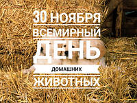 30 ноября День домашних животных