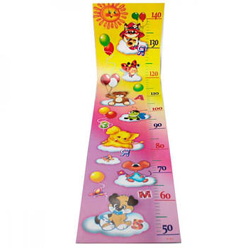 Ростомір картонний Р-02 640616 G-Rich