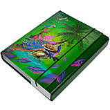 Папка-короб для зошитів на резинці, картонна, В5, РР-покриття, фото 4