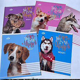 Зошит шкільний на 12 аркушів в косу лінію "Бріск"