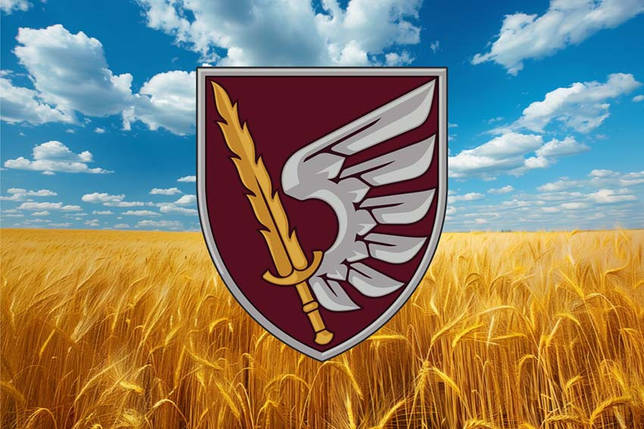 Прапор 79 ОДШБр ДШВ ЗСУ пшеничне поле, фото 1